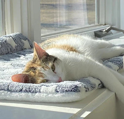 Calming Plush Pet Blanket