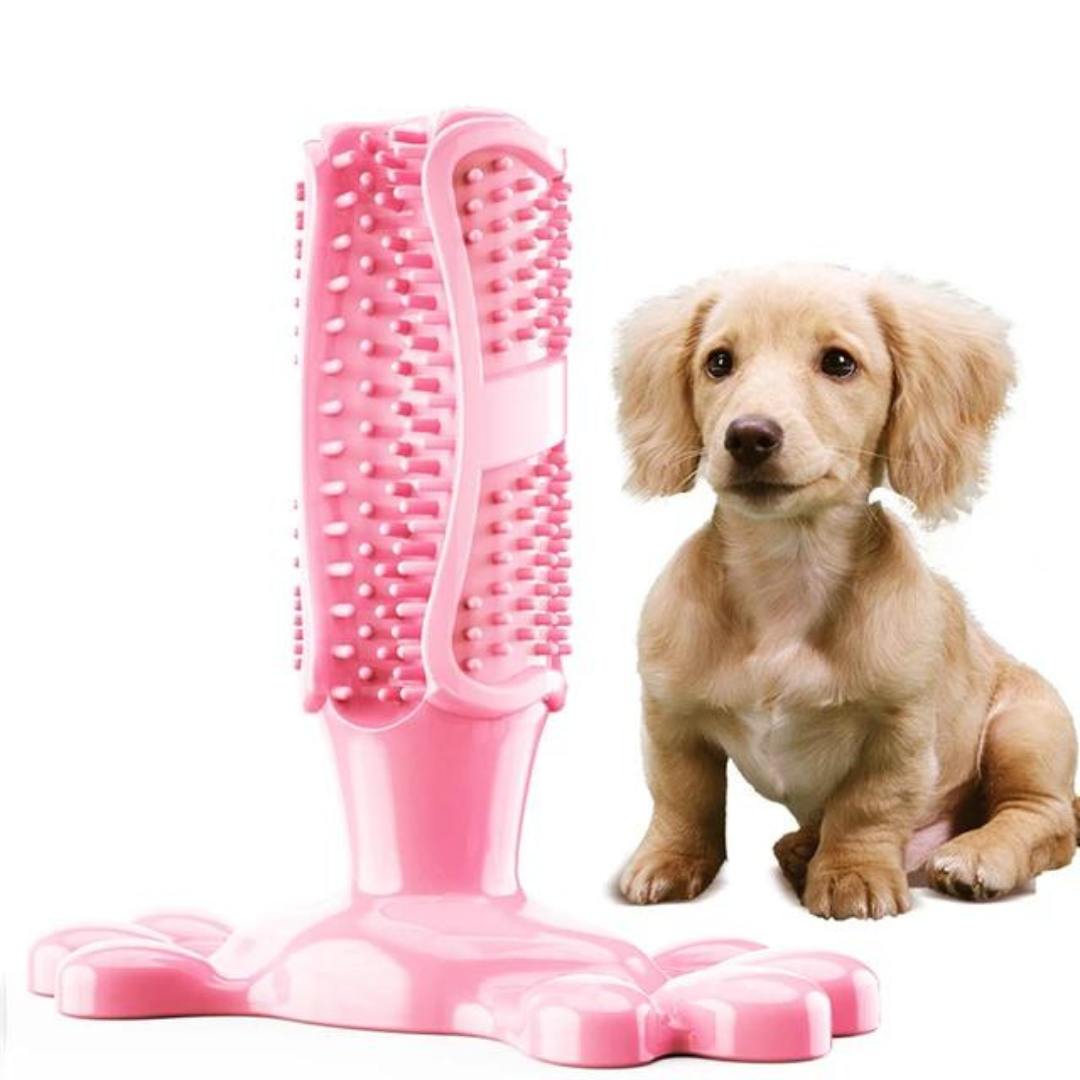 Dog Dental Chew Toy
