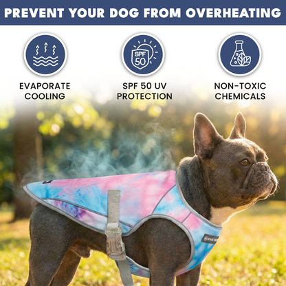 2-Pack Evaporative Dog Cooling Vests