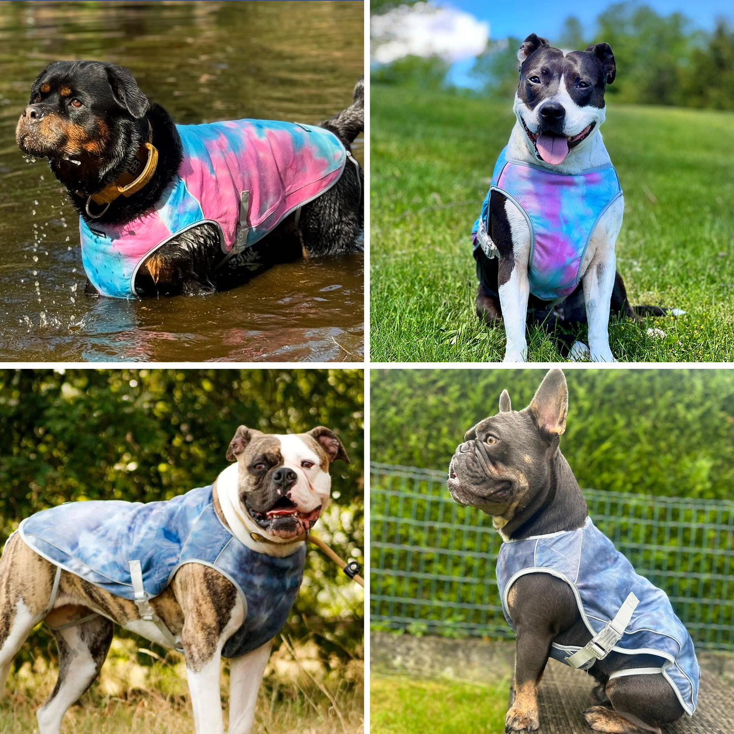 2-Pack Evaporative Dog Cooling Vests