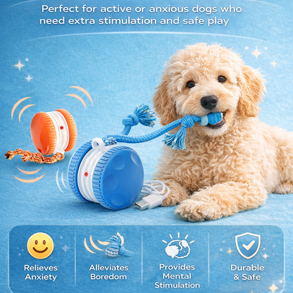 Interactive Dog Enrichment Ball with Rope Toy