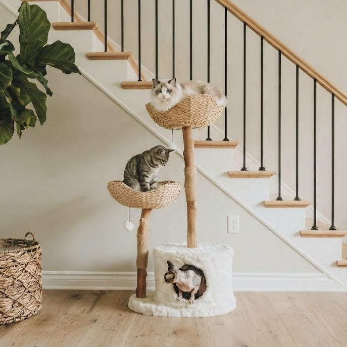 FurGrovers Canopy Cat Tree