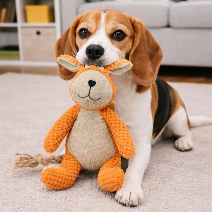 FurGrovers Heavy Duty Squeaky Chew Toy