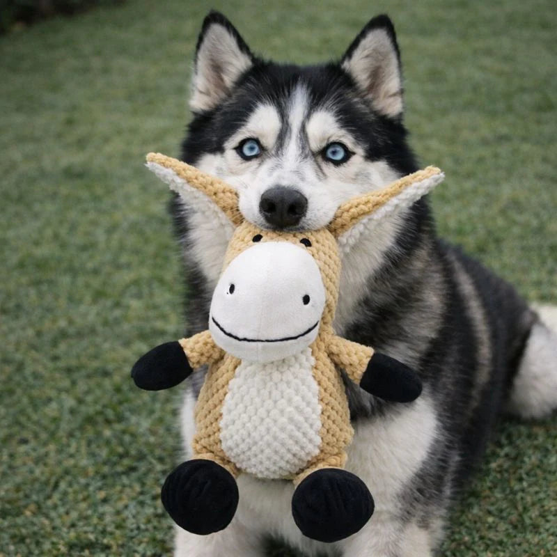 FurGrovers Heavy Duty Squeaky Chew Toy