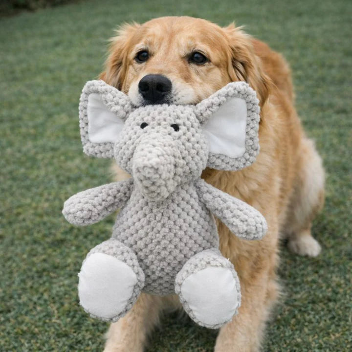 FurGrovers Heavy Duty Squeaky Chew Toy