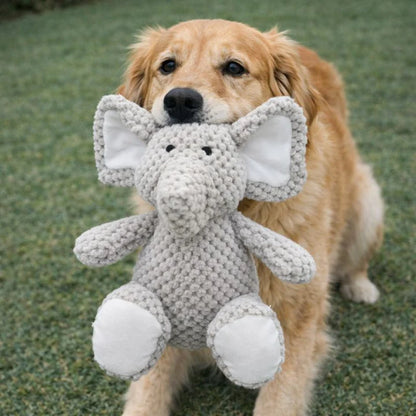 FurGrovers Heavy Duty Squeaky Chew Toy