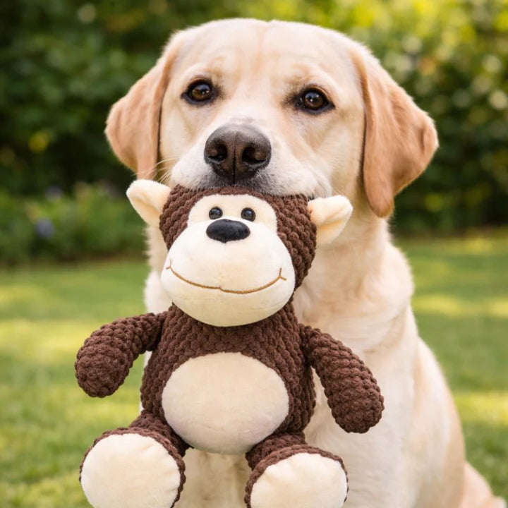 FurGrovers Heavy Duty Squeaky Chew Toy