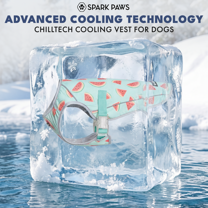 2-Pack Evaporative Dog Cooling Vests