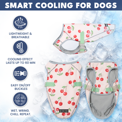 2-Pack Evaporative Dog Cooling Vests