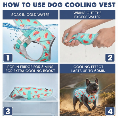 2-Pack Evaporative Dog Cooling Vests