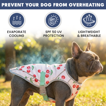 2-Pack Evaporative Dog Cooling Vests