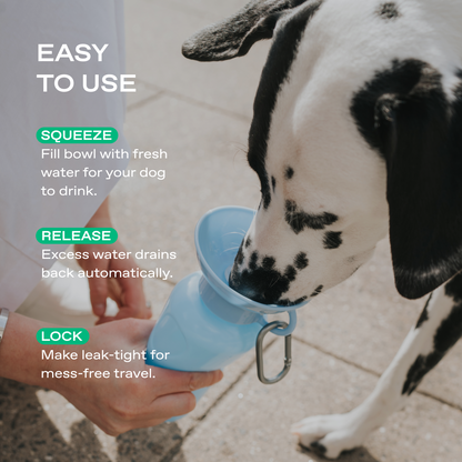 Portable Dog Travel Water Bottle - 22oz