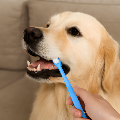 360 Dog Toothbrush Set