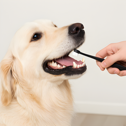 360 Dog Toothbrush Set