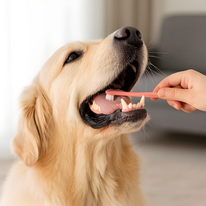 360 Dog Toothbrush Set