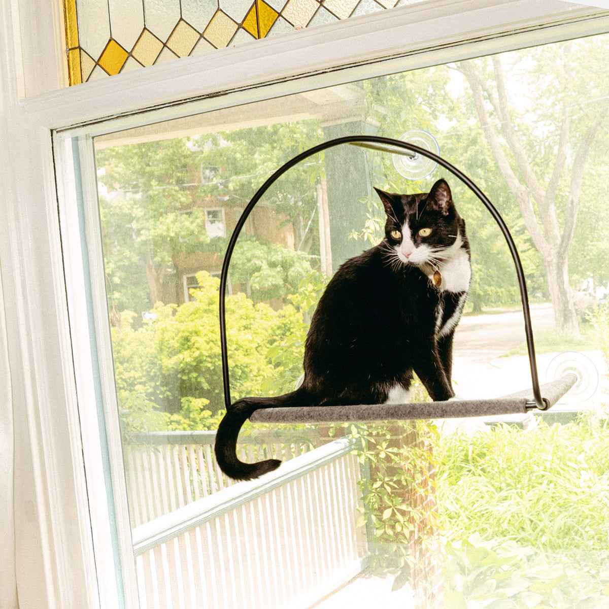 Cat Window Hammock