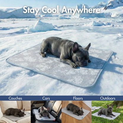 2-Pack Cooling Dog Mats with Non-Slip Base