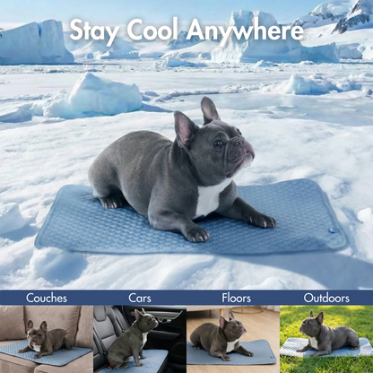 2-Pack Cooling Dog Mats with Non-Slip Base