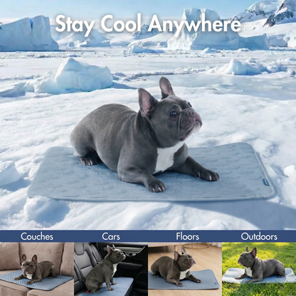 2-Pack Cooling Dog Mats with Non-Slip Base