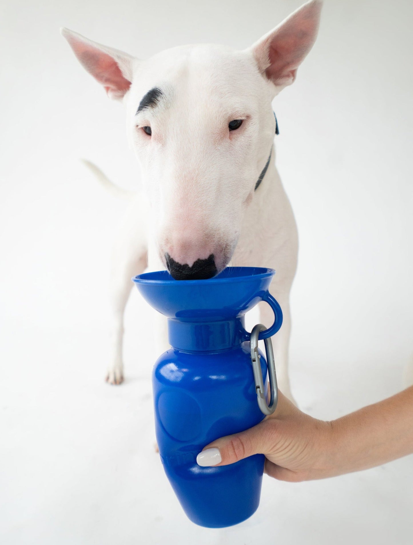 Portable Dog Travel Water Bottle - 22oz