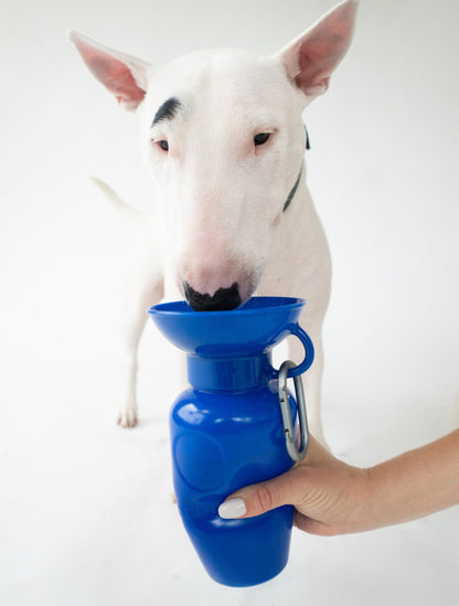 Portable Dog Travel Water Bottle - 22oz