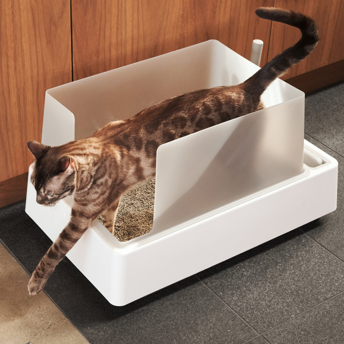 Cove Cat Litter Box