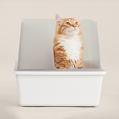Cubby Cat Litter Box