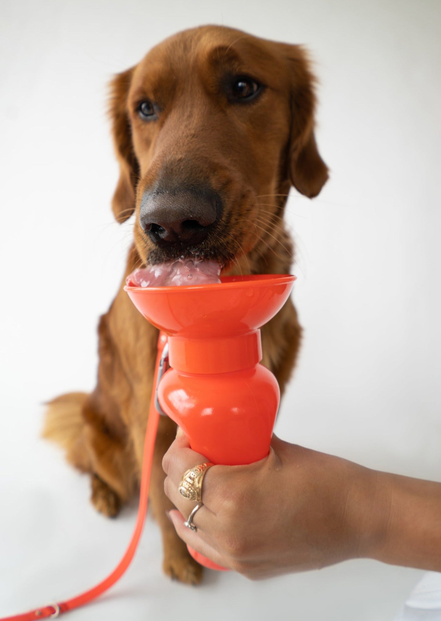 Portable Dog Travel Water Bottle - 22oz