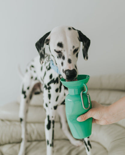 Portable Dog Travel Water Bottle - 22oz
