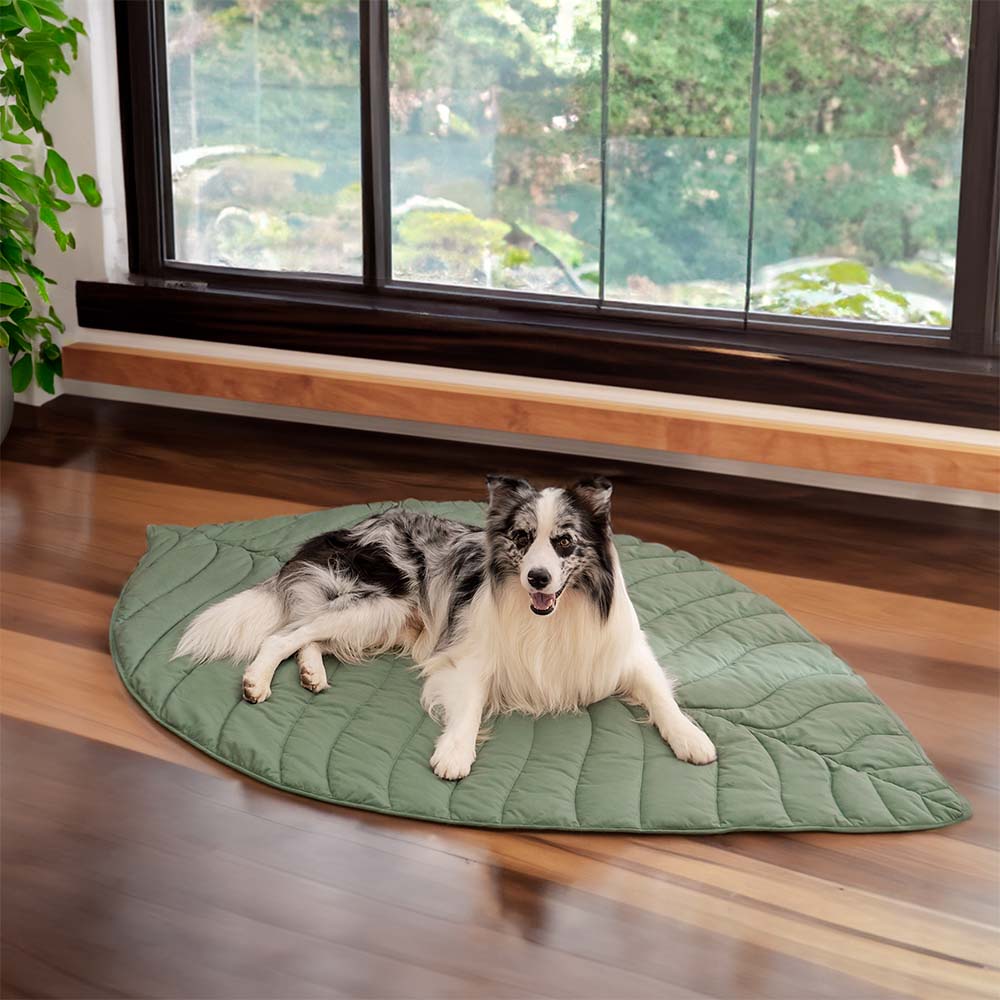 Calming Leaf Shape Dog Blanket