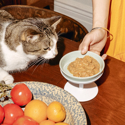 Elevated Cat Bowl Stand