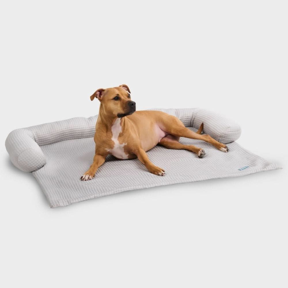 Cooling Couch Cover Dog Bed with Bolster Support