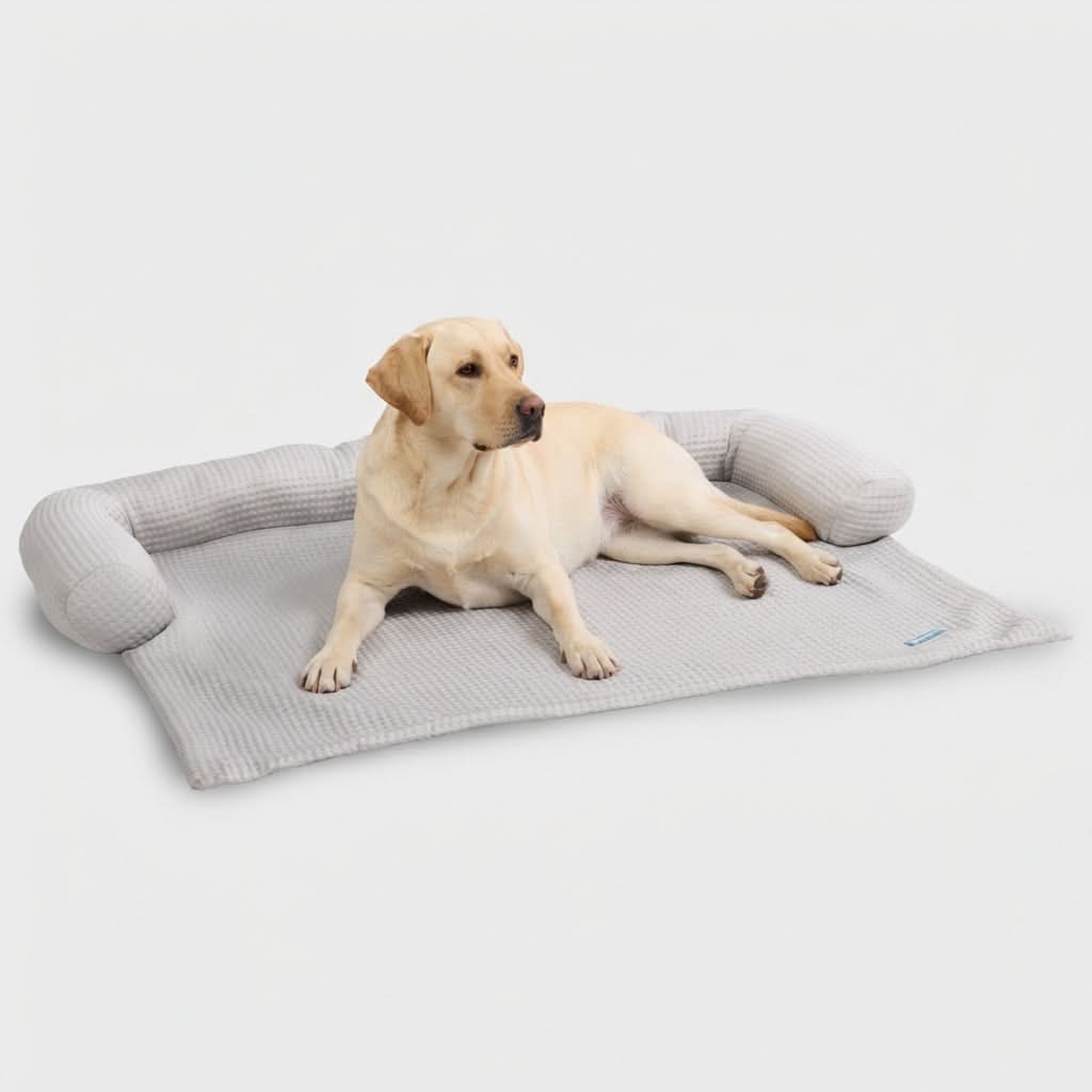 Cooling Couch Cover Dog Bed with Bolster Support