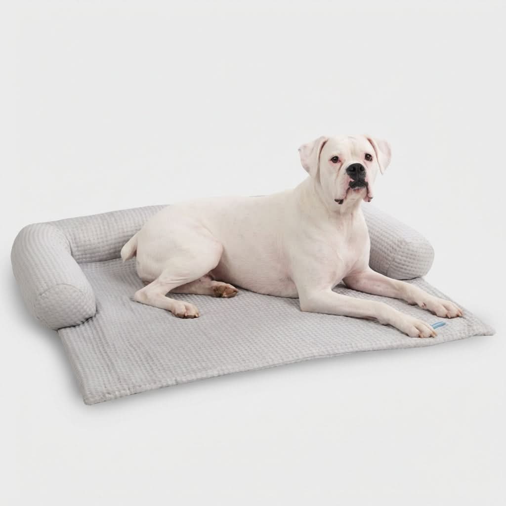 Cooling Couch Cover Dog Bed with Bolster Support