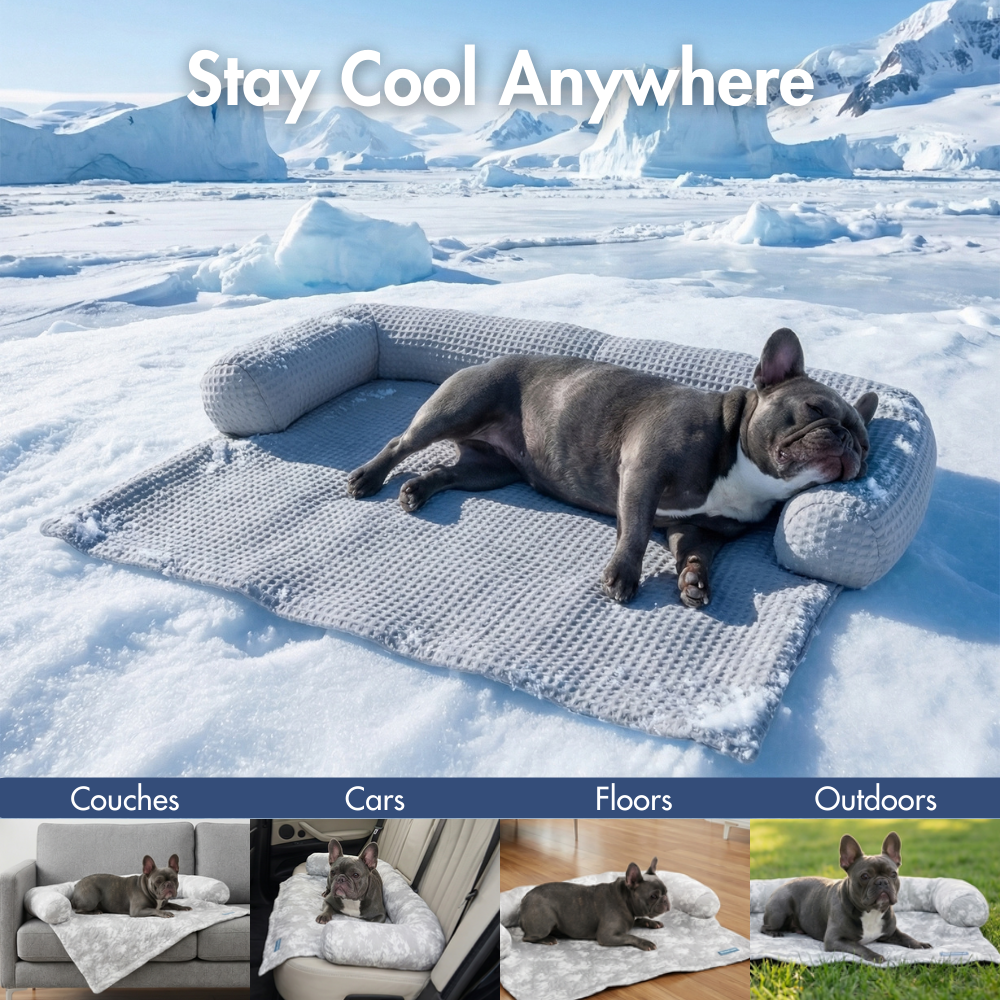 Cooling Couch Cover Dog Bed with Bolster Support