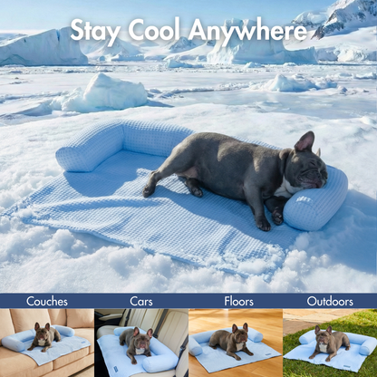Cooling Couch Cover Dog Bed with Bolster Support