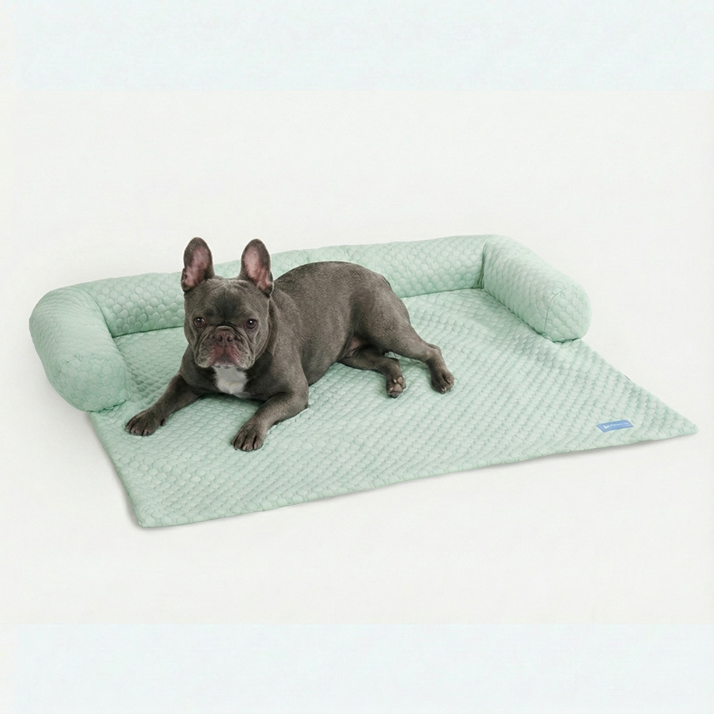 Cooling Couch Cover Dog Bed with Bolster Support