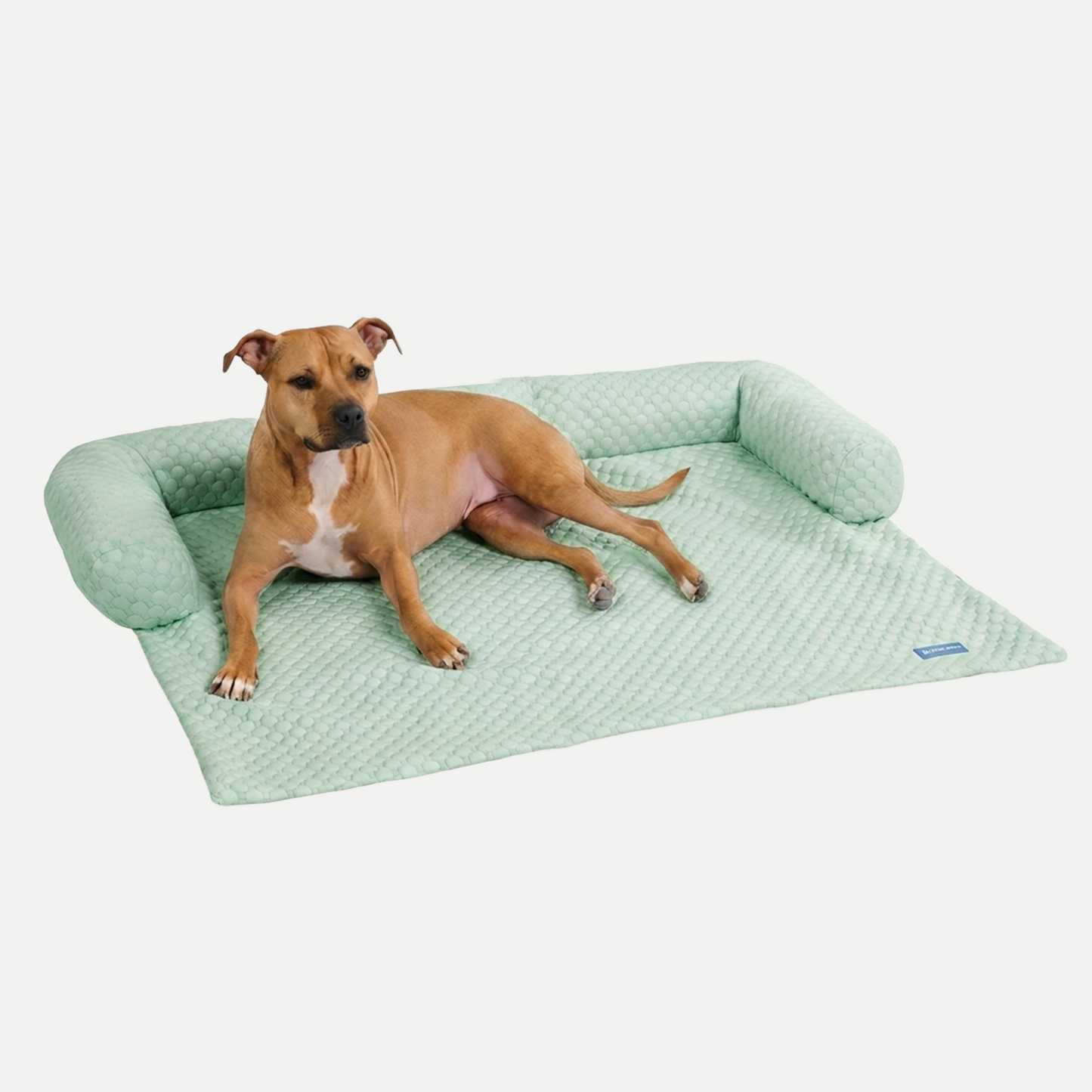 Cooling Couch Cover Dog Bed with Bolster Support