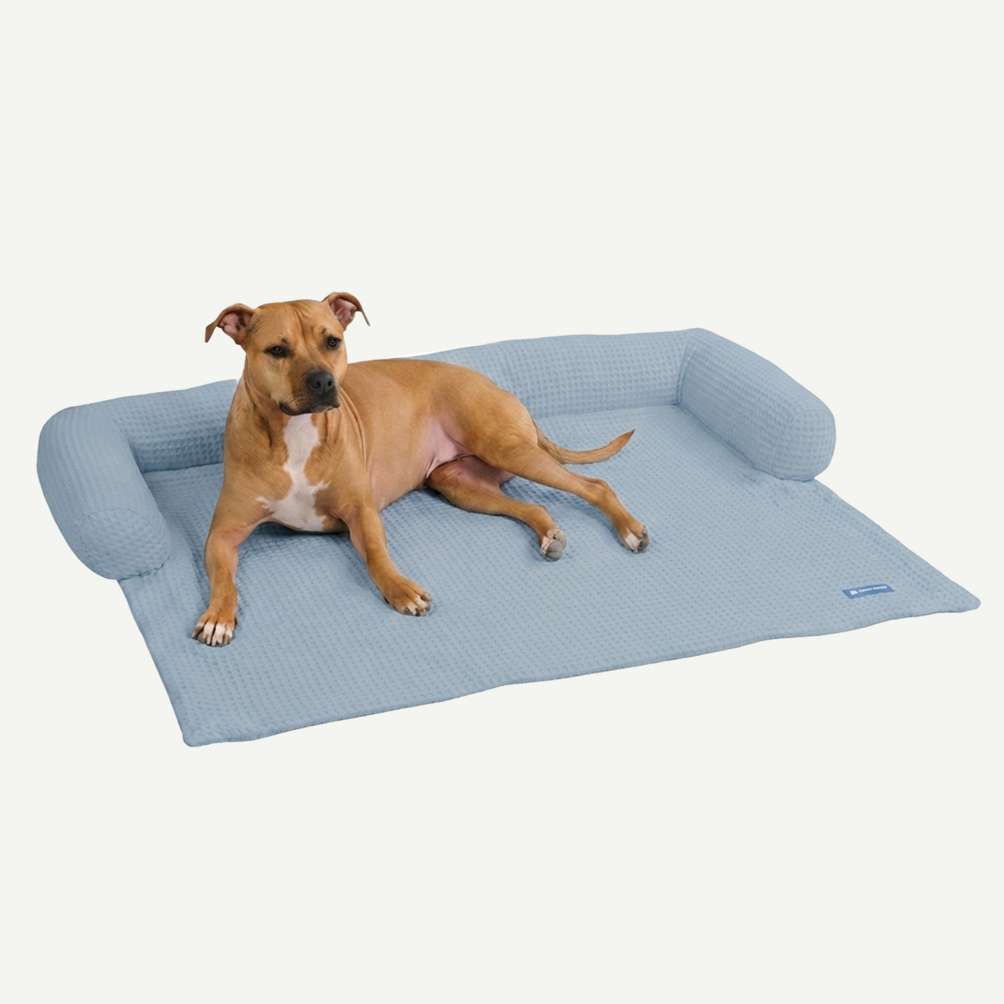 Cooling Couch Cover Dog Bed with Bolster Support