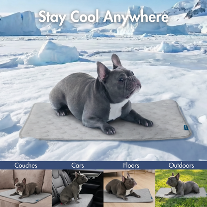 2-Pack Cooling Dog Mats with Non-Slip Base
