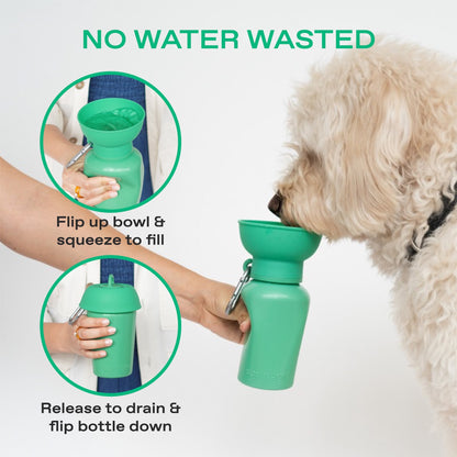 Portable Dog Travel Water Bottle - 20oz