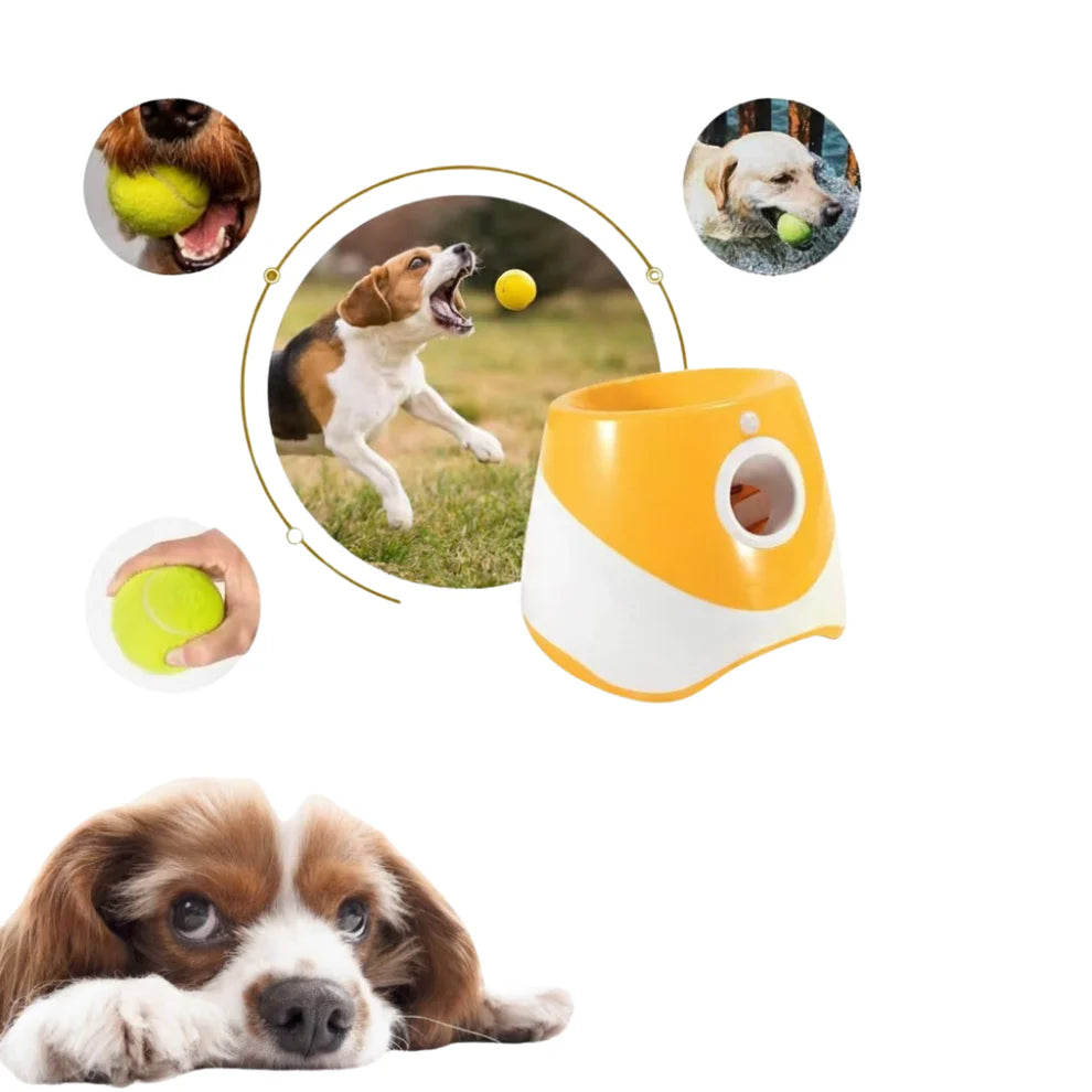 Automatic Dog Ball Launcher