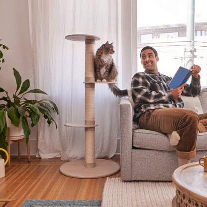 3-Tier Cat Climbing Tree