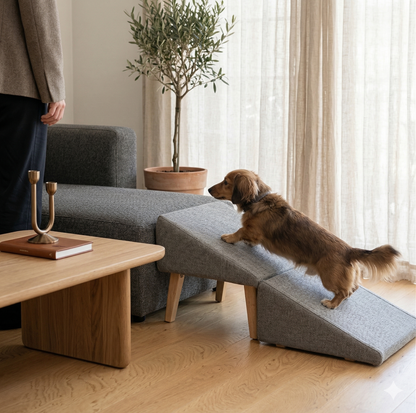 2-in-1 Dog Ramp Ottoman