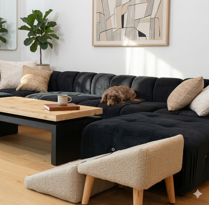 2-in-1 Dog Ramp Ottoman