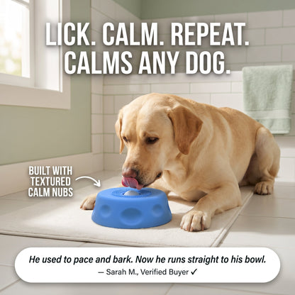 Suction Enrichment Lick Bowl for Dogs