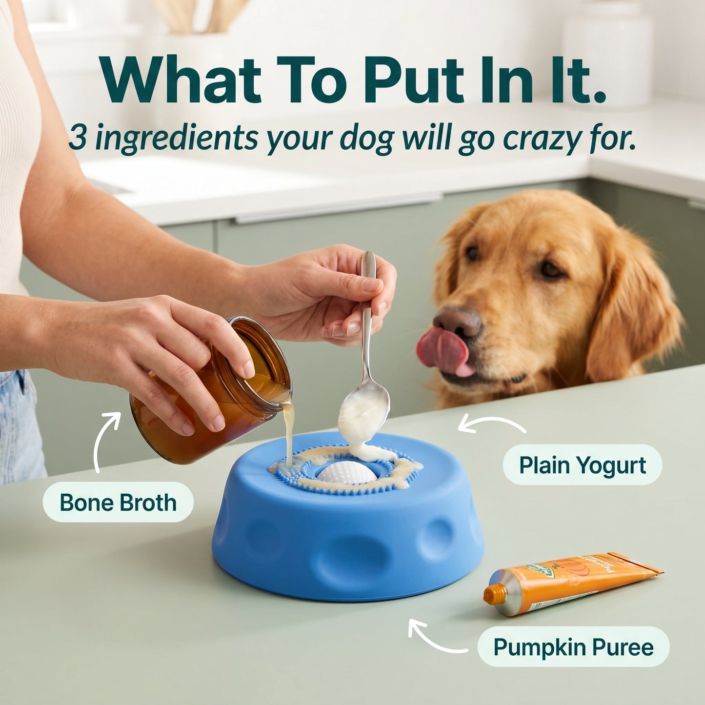 Suction Enrichment Lick Bowl for Dogs