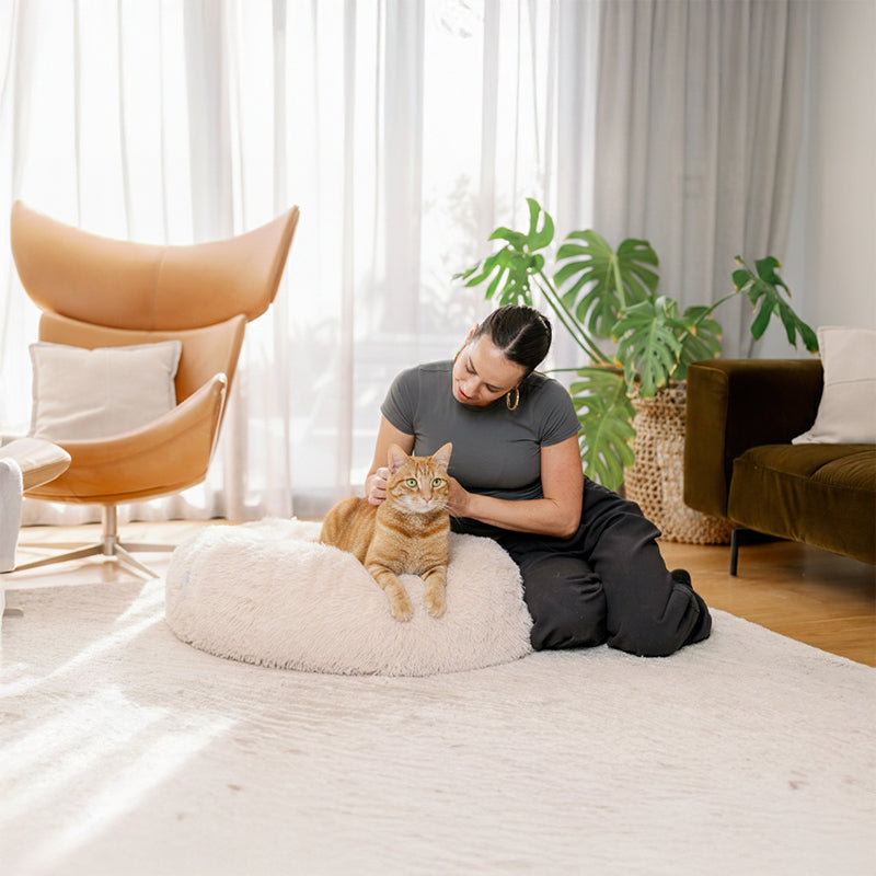 Deep Sleep Cat Bed