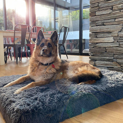 Memory Foam Dog Bed