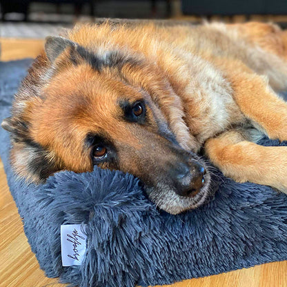 Memory Foam Dog Bed